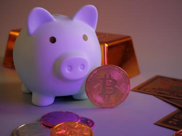 Crypto Allocation in FIRE Portfolios: Risk vs Reward
