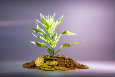 Regenerative Finance and Sustainable Investment Growth