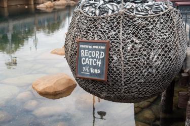 The Super Catch-Up 401k Rule Changes Everything