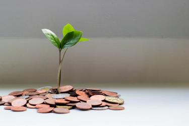 Real Estate Crowdfunding vs REITs: Which Builds Wealth Faster