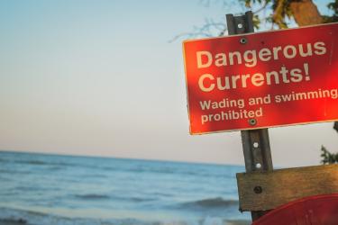 Money Market vs High-Yield Savings for Emergency Fund Strategy